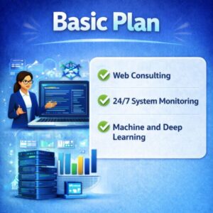 Basic Plan